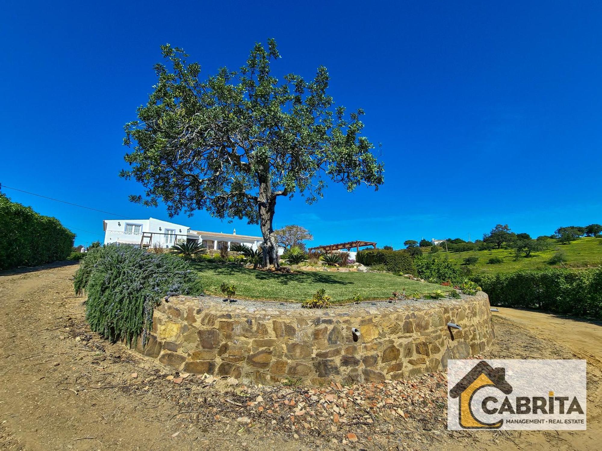 Quinta Dos Medronheiros Villa Lozenets Ngoại thất bức ảnh