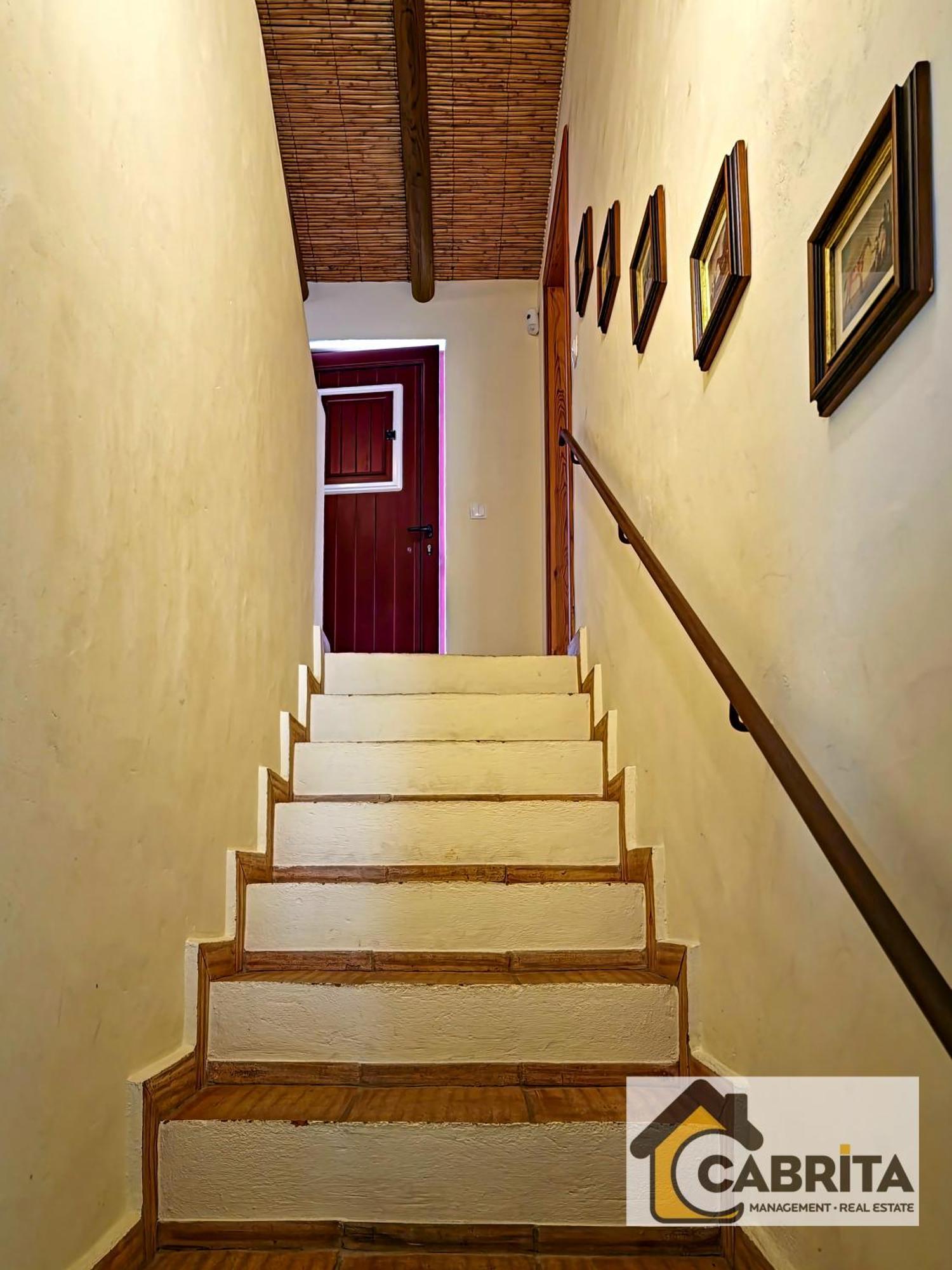 Quinta Dos Medronheiros Villa Lozenets Ngoại thất bức ảnh